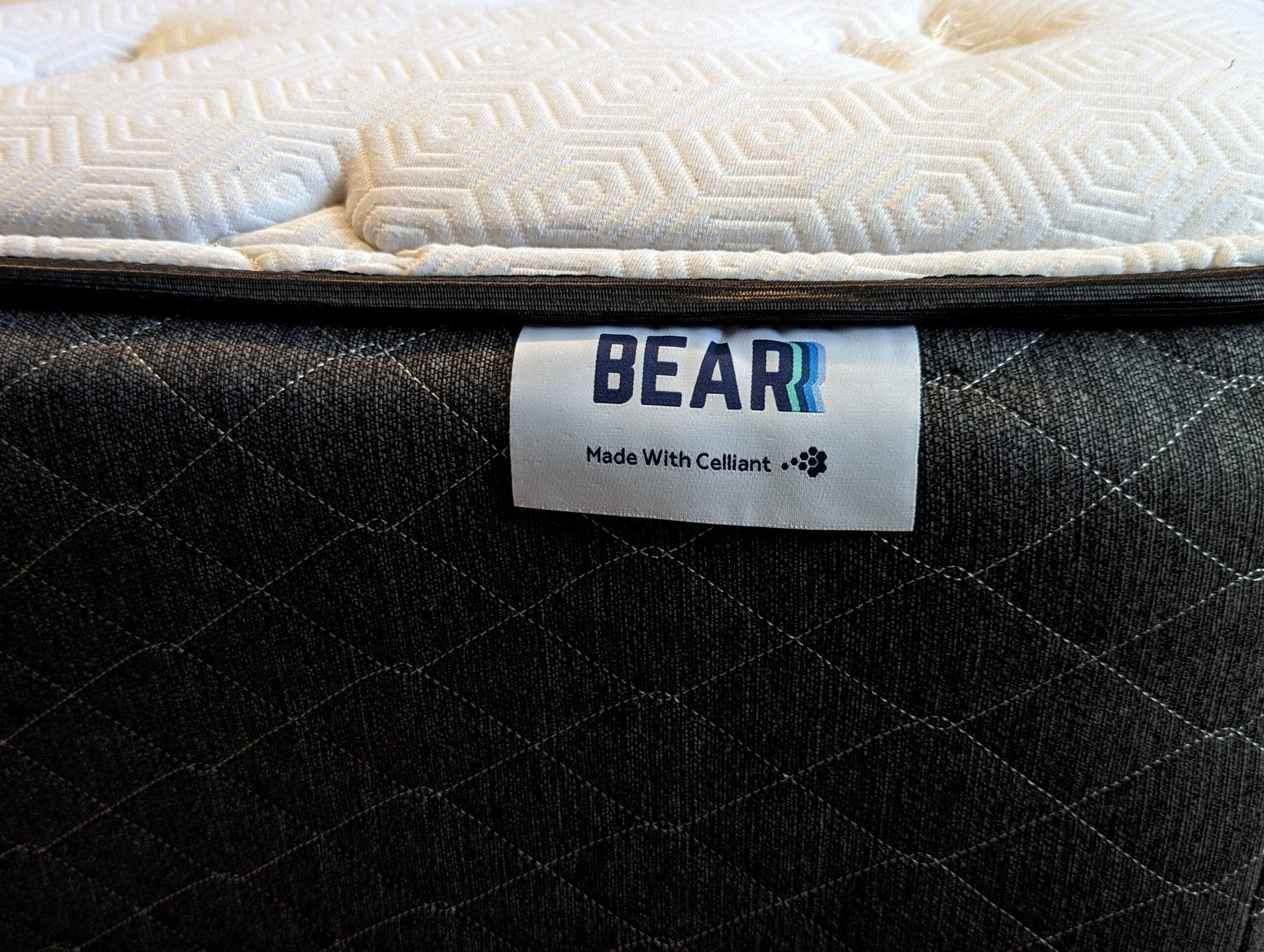 BearMattressFeatured scaled