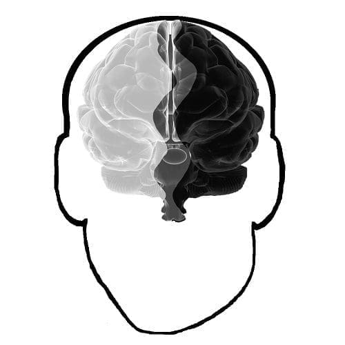 Gray Matter Logo Copy for Copywright