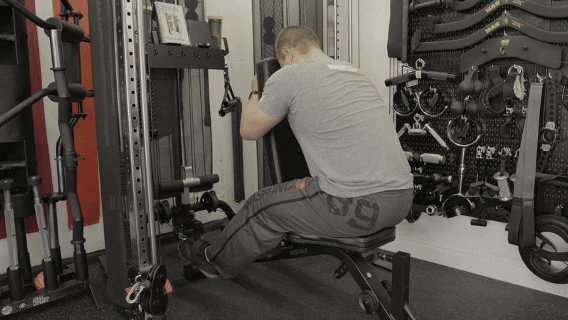 IPRGluteKickbackPro SeatedLegCurl GIF