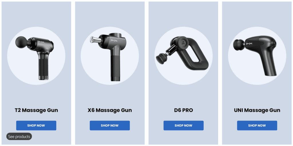 BobAndBradMassageGunOptions