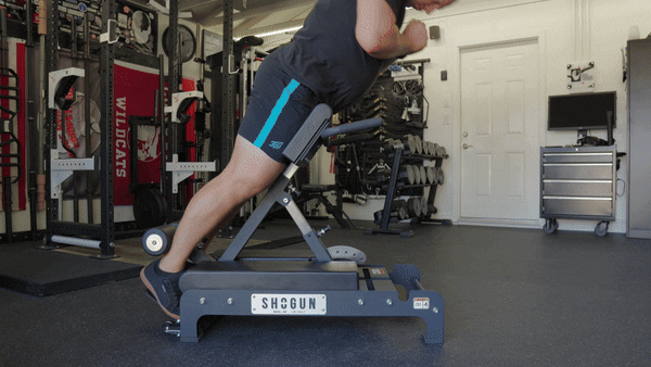 Shogun NORD-EX Review 2025 - The BEST Nordic Combo for a home gym? 49