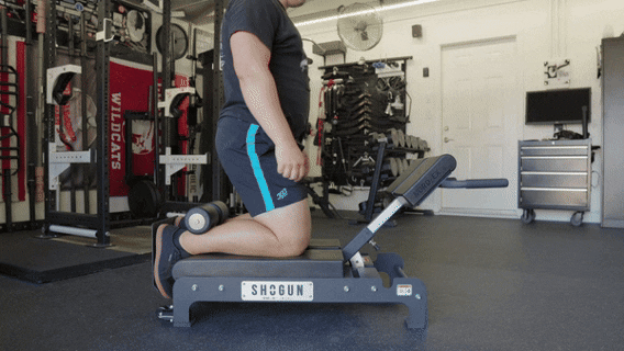 Shogun NORD-EX Review 2025 - The BEST Nordic Combo for a home gym? 47