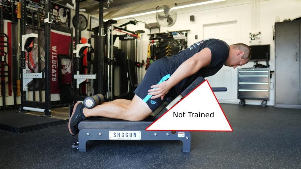 Shogun NORD-EX Review 2025 - The BEST Nordic Combo for a home gym? 44 ShogunNordEx NotTrainedAngles