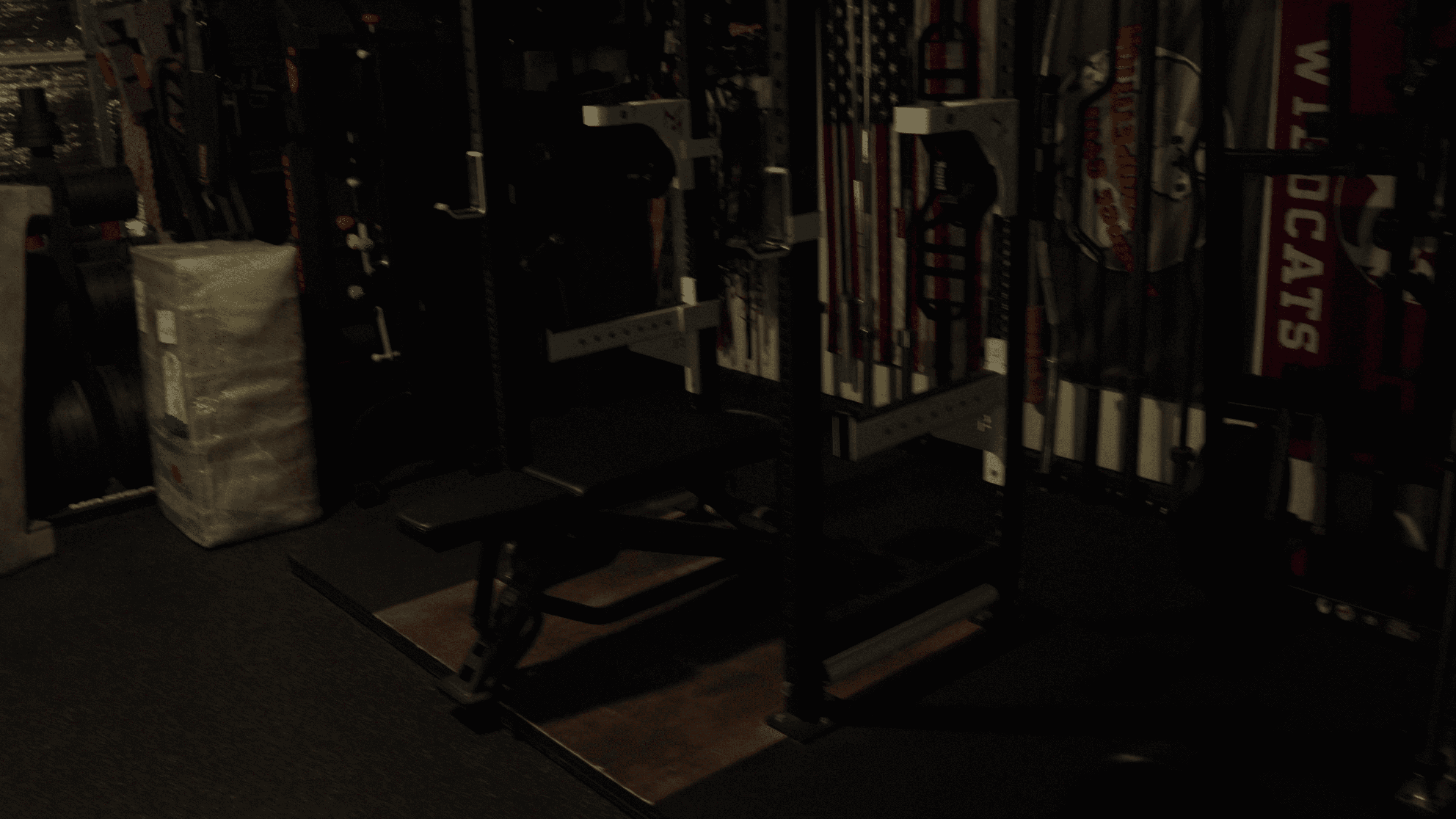 Every Good Home Gym Needs These 5 Things 9 HomeGym NoLights