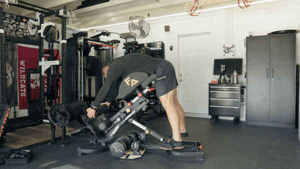 Shogun FLEX Review - Power Packed & Portable - 2024