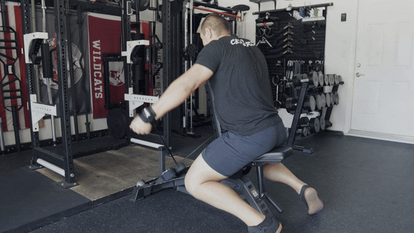 ShogunFLEX Laterals GIF