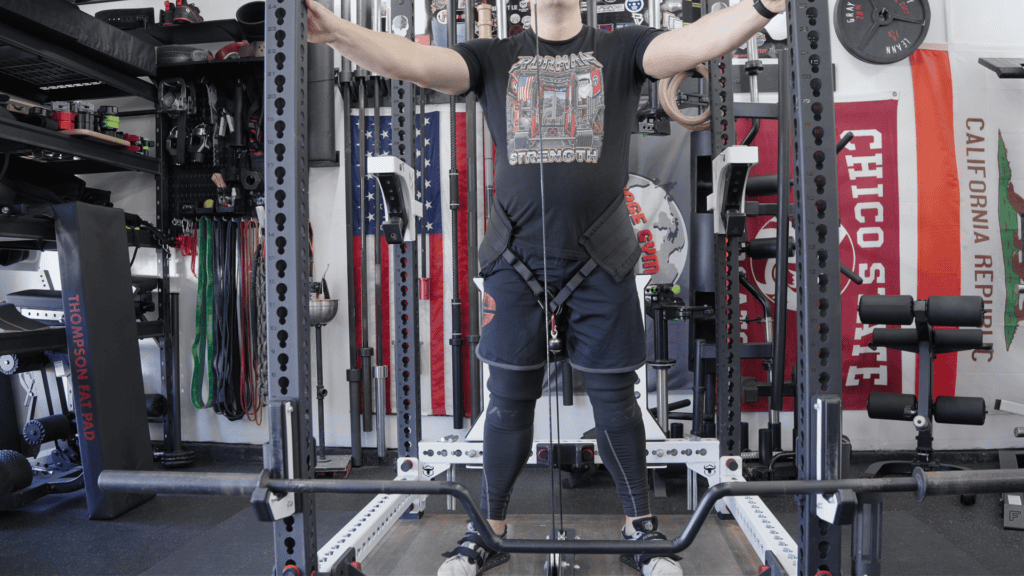 Buy THIS Belt Squat Belt For Your Home Gym In 2026 9 BeltSquatBelts Ideal