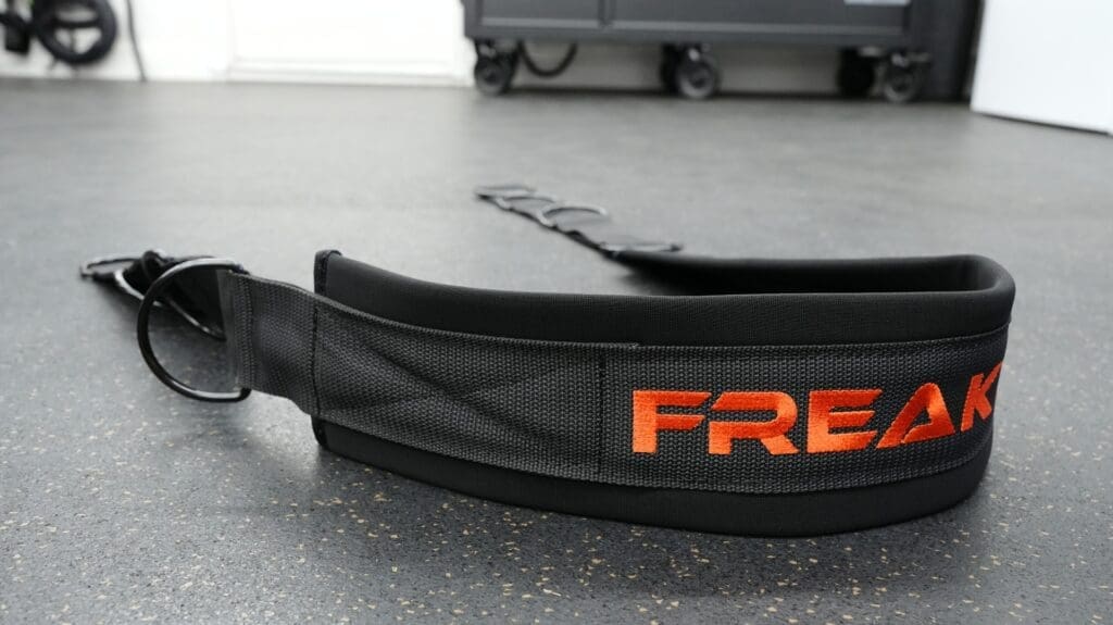 Buy THIS Belt Squat Belt For Your Home Gym In 2026 17 FreakAthleteBeltSquatBelt Resized