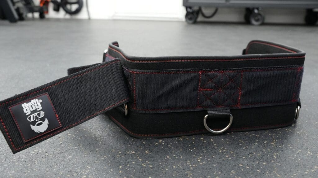 Buy THIS Belt Squat Belt For Your Home Gym In 2026 15 THEFITGUYMulti AttachmentBelt Resized